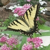 Trailside Nature and Science Center